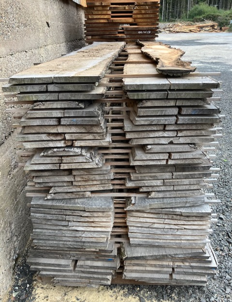 Scottish Air Dried Ash